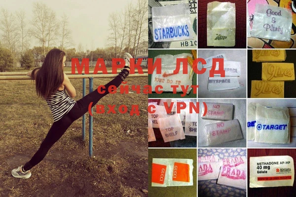 эйфоретик Михайловск