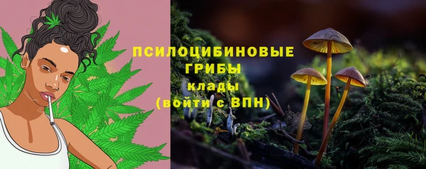 эйфоретик Михайловск