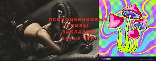 ГАЛЛЮЦИНОГЕННЫЕ ГРИБЫ Пересвет