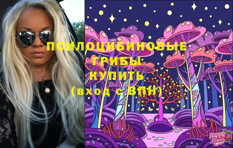 Галлюциногенные грибы Psilocybe  Цоци-Юрт 